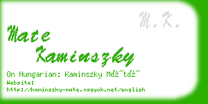 mate kaminszky business card